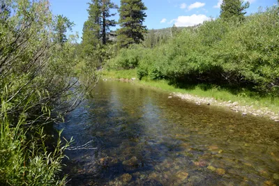 DSC_3572 (Large).JPG